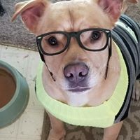 Angie Robinson Schuringa - Quora Profile Picture of Angie Robinson Schuringa (@angie-robinson-schuringa) on Quora