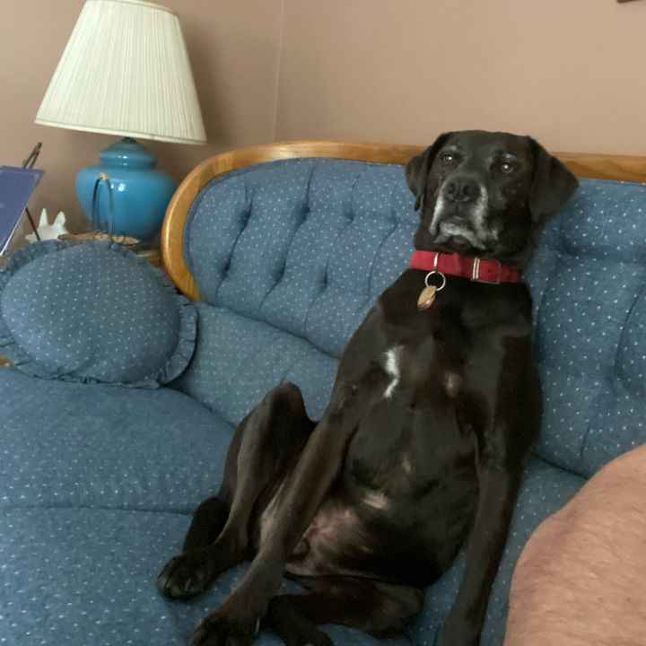 Profile Picture of Nicholas Hill (@the_nick_hill) on Tiktok