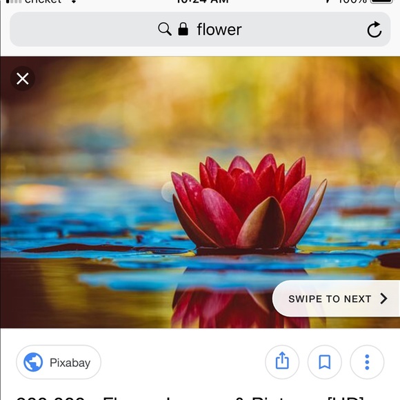 Profile Picture of Daisy Aguirre (@adaisy572) on Poshmark
