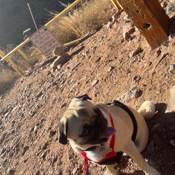 Profile Picture of Gace Jines (@nolan0) on Poshmark