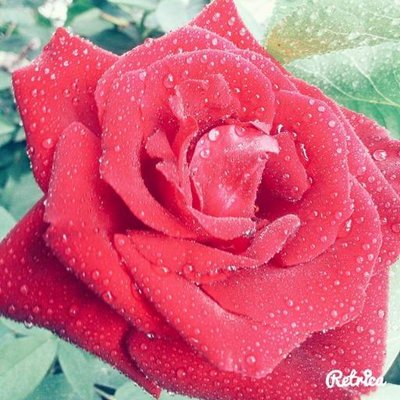 Profile Picture of ABU AYAN (@AdamShanaa) on Twitter