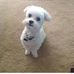 Profile Picture of Charlene Hopkins (@charlene.hopkins.980) on Facebook