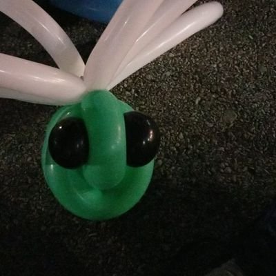 Profile Picture of Ryan Strom (@RyanStrom4) on Twitter
