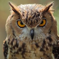 Profile Picture of Kyle Weston (@kyle-weston-6) on Quora