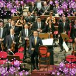 Profile Picture of Antonio Marzullo (@antonio.marzullo.108) on Instagram