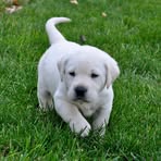 Profile Picture of Michael Rodas (@Michael-Rodas) on Facebook