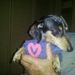 Profile Picture of Annie Hauger (@lambs4) on Pinterest