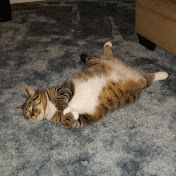 Profile Picture of Joseph Corbin (@josephcorbin6113) on Youtube