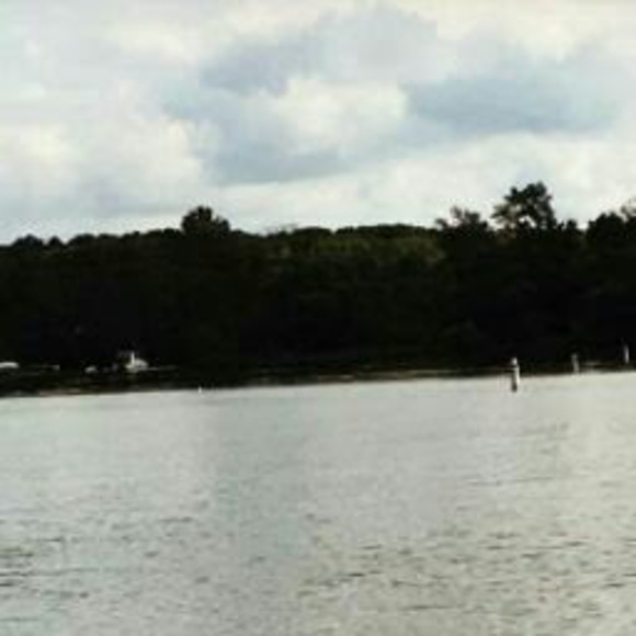 Profile Picture of Elise Shaw (@eshaw3434) on Poshmark