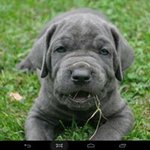 Profile Picture of Clarence Mattera (@matteraclarence) on Instagram