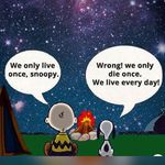 Profile Picture of Neil Moonan (@mooey.1969) on Instagram