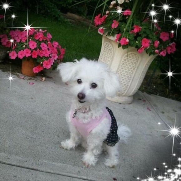 Profile Picture of Jodi Mckinney-engelhardt (@jodilyn616) on Poshmark