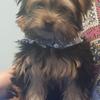 Profile Picture of Allison Schuler Will (@@allisonschulerwil) on Tiktok