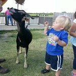 Matt Deacon - Instagram Profile Picture of Matt Deacon (@matthew_deacon_architect) on Instagram