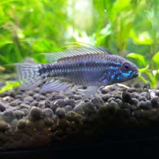 Profile Picture of Randy's Fishbook (@Randys-Fishbook) on Facebook