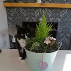 Paul Beedle - Facebook Profile Picture of Paul Beedle (@paul.beedle.92) on Facebook