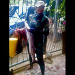 Profile Picture of Iris Flores (@irisbike) on Instagram