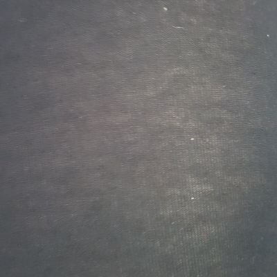 Profile Picture of A.Paula Del Moral (@apauladelmoral) on Twitter