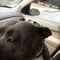 Profile Picture of Joseph T Hazen (@Joseph-T-Hazen) on Facebook