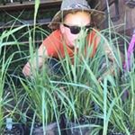 Profile Picture of Jerry Coldwell (@coldwelljerry) on Instagram