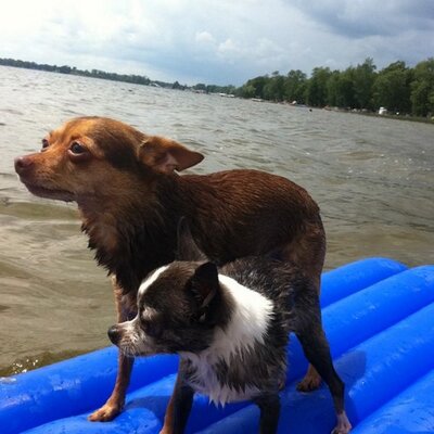 Profile Picture of Margo Brooks (@Margie3k) on Twitter