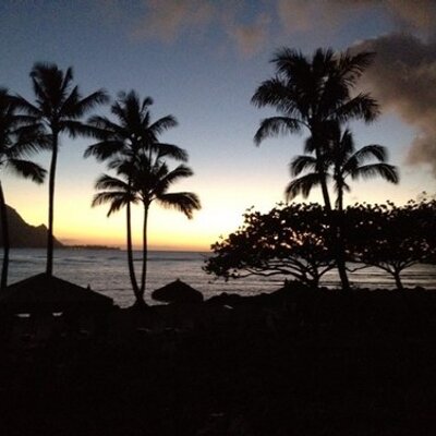 Profile Picture of Randall Walter (@randallwalter20) on Twitter