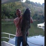 Profile Picture of Wayne Wiley (@wayne.wiley.5011) on Instagram
