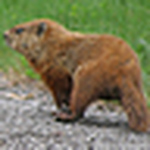 Profile Picture of Nathan Welch (@Nathan Welch) on Flickr