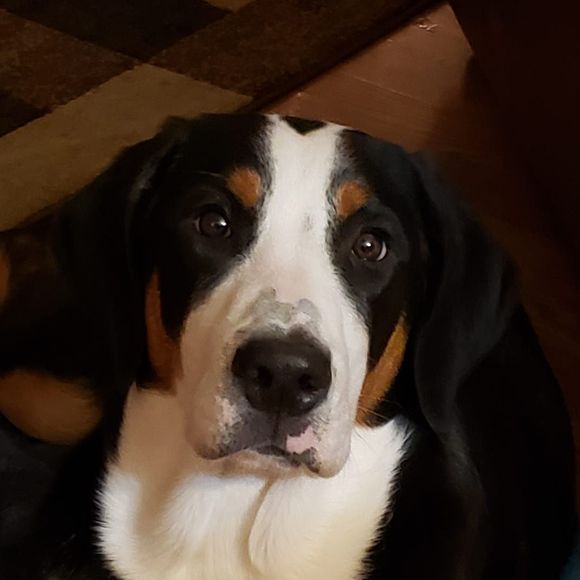 Profile Picture of Andrea Hansen (@sully_nanner) on Poshmark