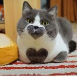 Profile Picture of brandon Uriel Fraile Sánchez (@brandonurielfraile) on Instagram