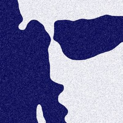 Profile Picture of Simon Levin (@m1d1c4) on Twitter