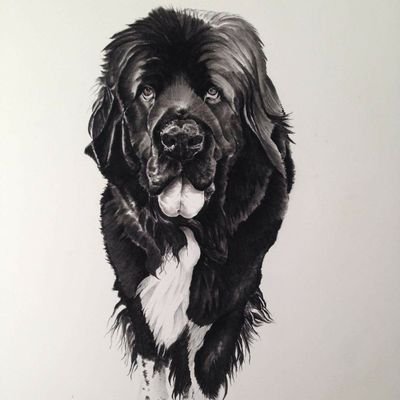 Profile Picture of Tom_Grist (@TomGrist2) on Twitter