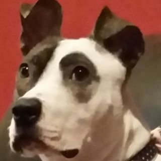 Profile Picture of Ron Edman (@ronjedman) on Facebook