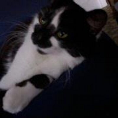 Profile Picture of William Braithwaite (@williamBraithw1) on Twitter