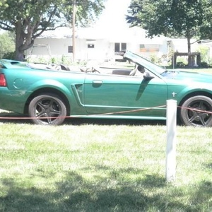 Israel Arroyo - Myspace Profile Picture of Israel Arroyo (@234453961) on Myspace