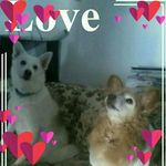 Profile Picture of Sally Anto (@annatocco25) on Instagram