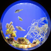 Profile Picture of Stephen Willoughby (@stephenwilloughby6965) on Youtube