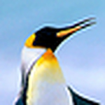 Profile Picture of Daniel Day (@danday92) on Flickr