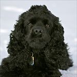 Profile Picture of Ron Asp (@ron.asp) on Instagram