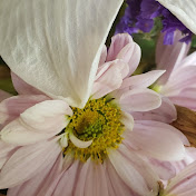 Profile Picture of Ann Schultz (@annschultz3958) on Youtube