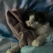 Profile Picture of Heidi Moore (@heidimoore3453) on Youtube