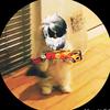 Profile Picture of Steven fri (@steven.fri) on Tiktok