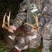 Profile Picture of Joshua Perrine (@joshua.perrine.5036) on Facebook