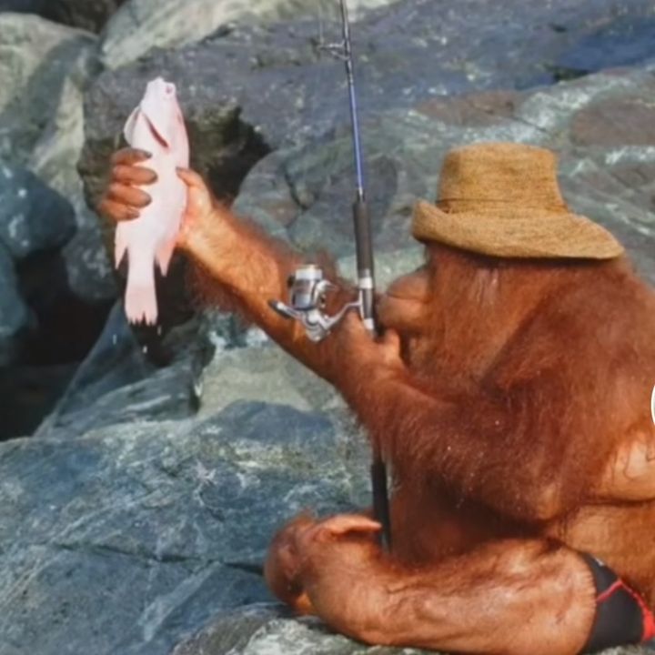 Profile Picture of MarshallDitch (@marshditch) on Tiktok