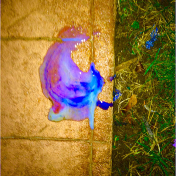 Profile Picture of Zeeve Hadar (@zeeve123) on Poshmark