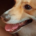 Regina Lazo - Instagram Profile Picture of Regina Lazo (@regi_lazo) on Instagram