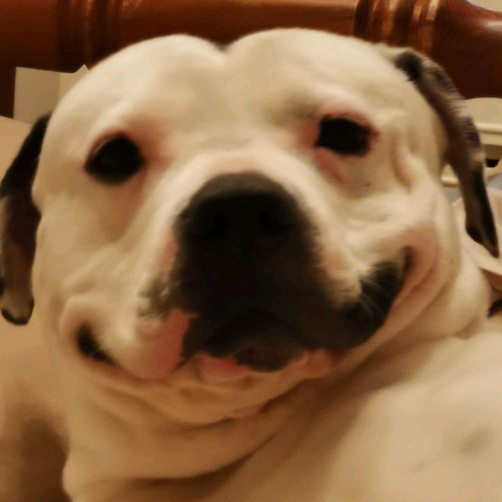 Profile Picture of Brett (@brettwuk) on Tiktok