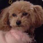 Profile Picture of Mona Burrell (@monaburrell) on Instagram