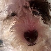 Profile Picture of Ava Harrison  (@Krazycid34) on Youtube