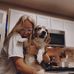 Profile Picture of Addison Haas (@addison.haas.33) on Facebook